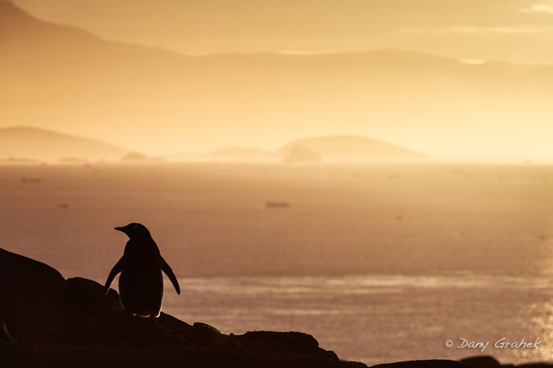 form/uploads/galerie_graek_images/pics/219_6_0_coucher_de_soleil_en_antarctique_3.jpg