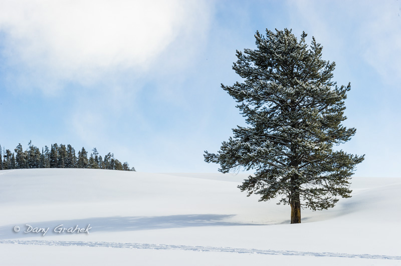 form/uploads/galerie_graek_images/pics/36_1_0_paysage_d_hiver_1_yellowstone_.jpg