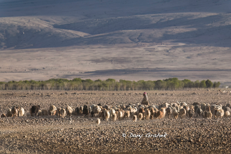 Dany Grahek - Photographe