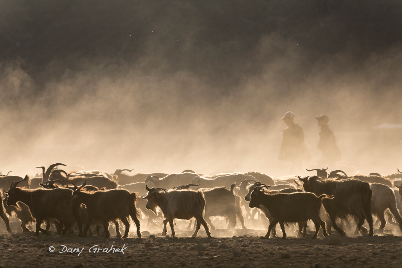 Dany Grahek - Photographe